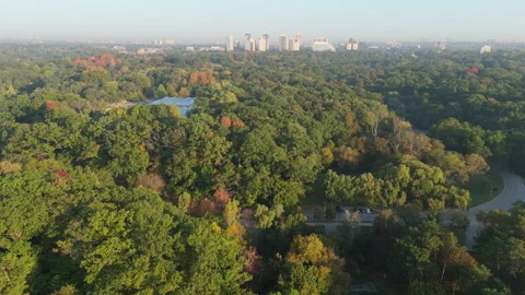 Orbit Drone Toronto High Park Autumn Morning Sunrise 4K ProRes Stock Footage 255208785