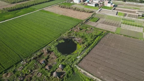 Orbit drone view of pond surrounded by village farmland 스톡 동영상 334116620
