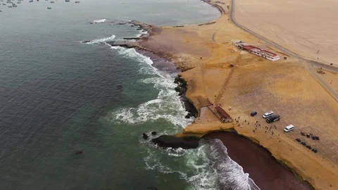 Orbit over Tour Groups on Rugged Paracas Coastline Stock Footage 323294238