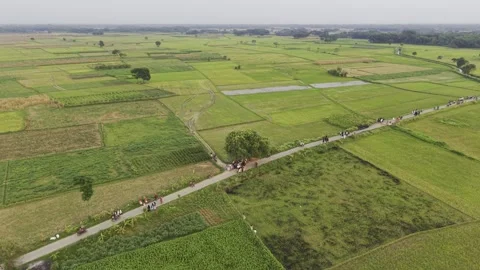 Orbit View of People Walking Rural Road During Eid Celebration in Bangladesh Stock Footage 337059753