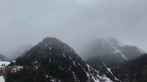 Orbital Drone Flight Around Snowy Pine Forest Amid Dense Fog with Alpine 库存影片 336230730