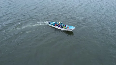 Orbital drone view of invertebrate sampling in a scientific expedition in Video stock 242501597