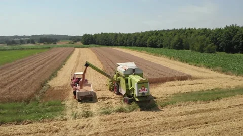 Orbital View Of A Harvester Offloading Wheat Into A Trailer Of A Tractor Stock Footage 137354829