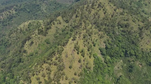 Orbiting above remote pine valleys in Chu Yang Sin mountains 動画素材 337345012