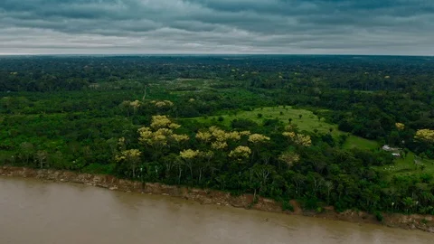 Orbiting around Amazon Rainforest Jungle with grassland and Amazon river Stock Footage 115835735