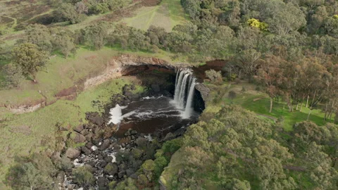 Orbiting Around The Beautiful Wannon Falls With Sunlight Highlighting Eucalyptus Stock Footage 249640686