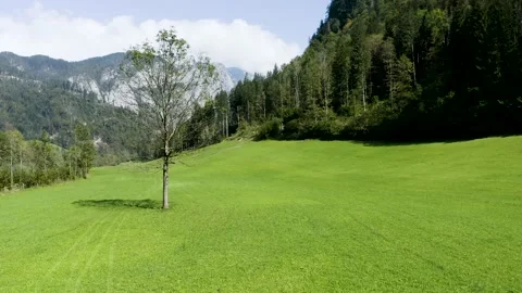 Orbiting Around Tree Standing in The Middle Of the Logar Valley's Meadow. Stock Footage 210773968
