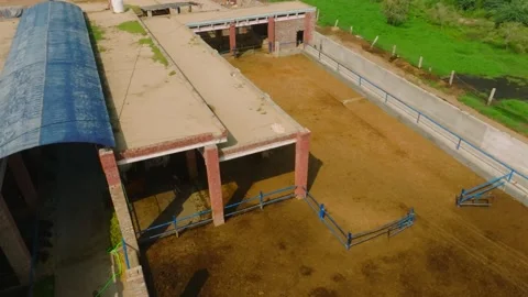 Orbiting Drone Around Farm Buildings and Livestock Pens in Punjab Vídeos de archivo 346112029