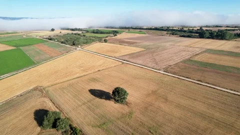 Orbiting drone flight over a harvested wheat field and a lone oak tree Vídeo Stock 304239597