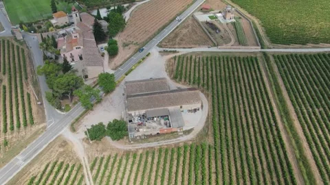 Orbiting Drone View of a Masia in Penedes Vineyard Stock Footage 263028475
