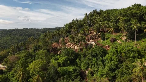 Orbiting Drone View of Tropical Palm Forest and Rocky Hillside in Koh Samui Stockbeeldmateriaal 336011668