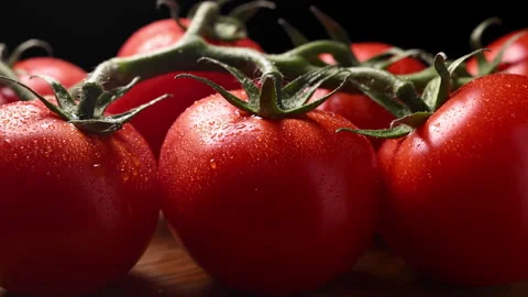 Orbiting macro shot of ripe, dewy tomatoes on the vine. Fresh harvest close-up. Stock Footage 318850921