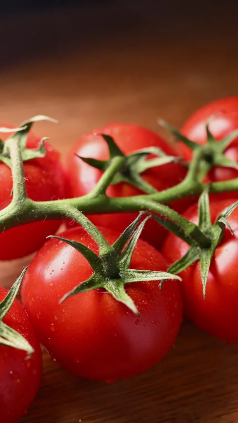 Orbiting macro shot of ripe, dewy tomatoes on the vine. Fresh harvest close-up. Vídeo Stock 319494181