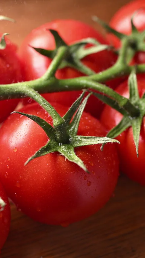 Orbiting macro shot of ripe, dewy tomatoes on the vine. Fresh harvest close-up. 動画素材 319494338