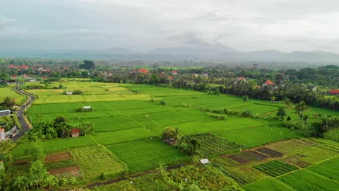 Orbiting Rice Fields and Farms, Bali Stock Footage 147293184