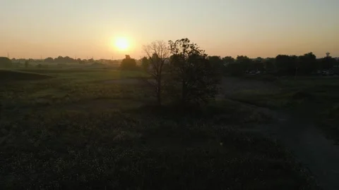 Orbiting Trees at Sunrise Over Rural Landscape with Soft Haze and Golden Light Stock Footage 313971411