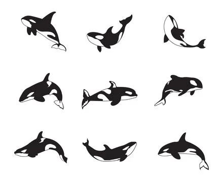 Orca Collection Stock Illustration