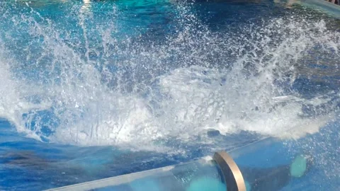 Orca Encounter Killer Whale Presentation at SeaWorld. Swim, Jump and Splash. Stock-Footage 223603760