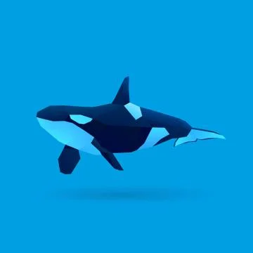 Orca Stock Illustration