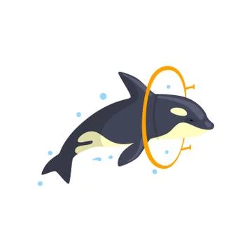 Orca jumping through a ring, sea animal performing in public in dolphinarium Stock Illustration