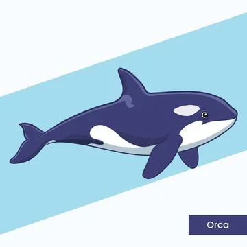 Orca Killer Whale Vector Illustration - Iconic Marine Mammal Cartoon Charac.. Stock Illustration