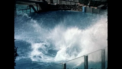 Orca Leaping in Pool Stock Footage 276290338