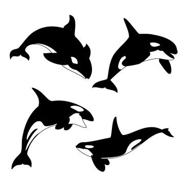 Orca Silhouette Stock Illustration