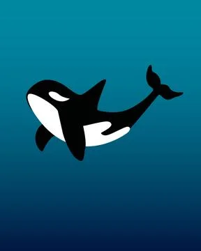 Orca swims gracefully through deep blue waters. 库存插图