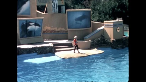 Orca Trainer on Stage Stock Footage 276290332