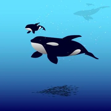 Orca whale Stock Illustration