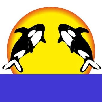 Orca on white background Stock Illustration