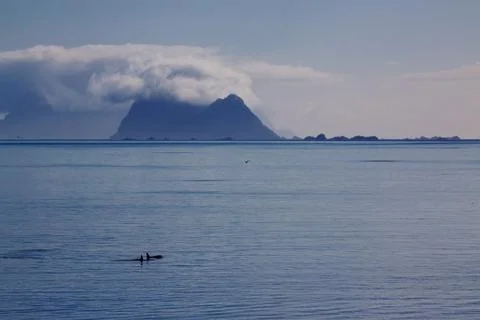 Orcas panorama Stock Photos