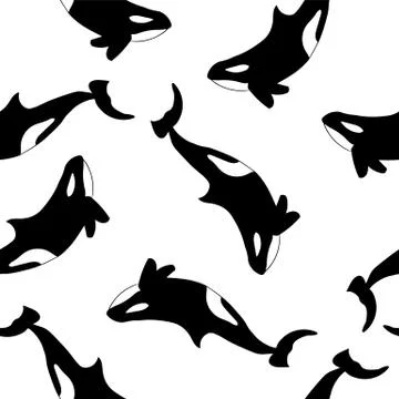 Orcas on white background seamless pattern. Vector illustration Stock Illustration