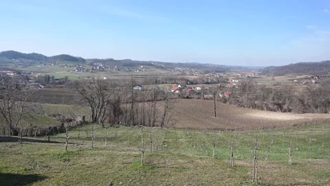 Orchard in early spring. Fruit tree seedlings in spring. Stock Footage 306879943