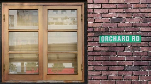 Orchard Stock Footage 116416513