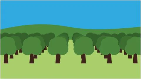 Orchard of fruit trees in green field landscape with landscape, agriculture Ilustração Stock