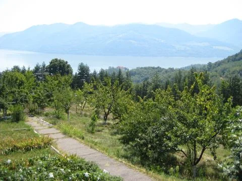 Orchard in the mountains Stock Photos