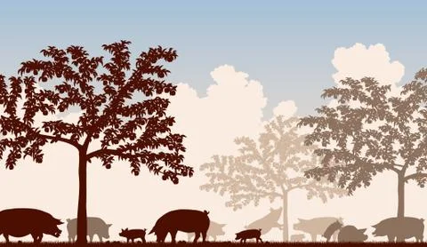 Orchard pigs Stock Illustration