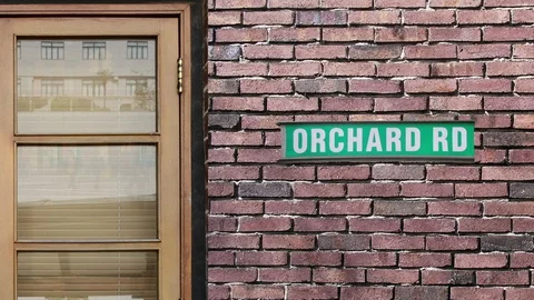 Orchard rd Stock Footage 116416878