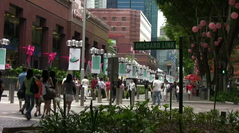 Orchard Road Stock Footage