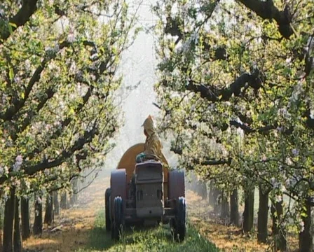 Orchard sprayer front on shot Stock Footage