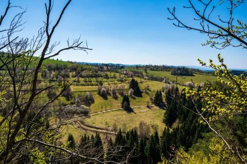 Orchard of spring tree in the hills on a clear sunny day Stock Photos