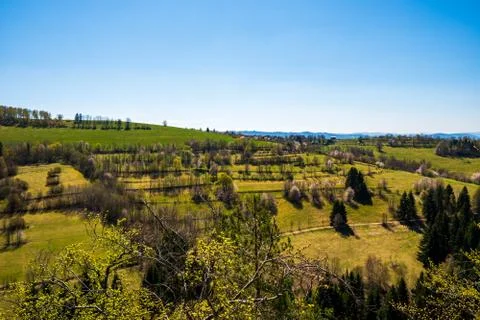 Orchard of spring tree in the hills on a clear sunny day Stock Photos