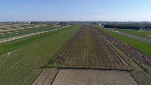 Orchard, spring work, aerial view Stock Footage 120403549