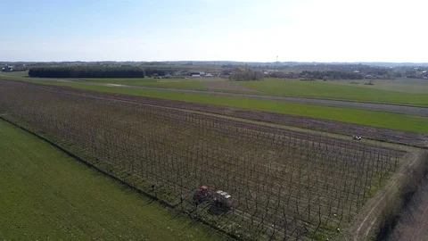 Orchard, spring work, aerial view Stock Footage 120403592