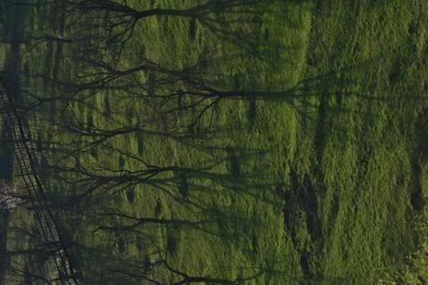 Orchard in a story sequence during the spring Stock Photos
