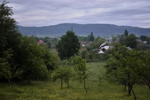 Orchard in a story sequence during the spring Stock Photos