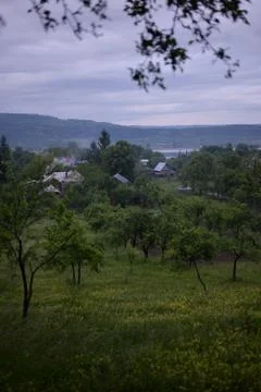 Orchard in a story sequence during the spring Stock-Fotos