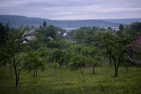 Orchard in a story sequence during the spring Stock Photos