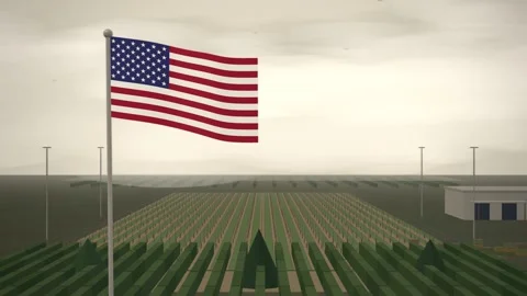 Orchard Trellis Rows Netting United States Flag seamless loop Stock-Footage 344779004